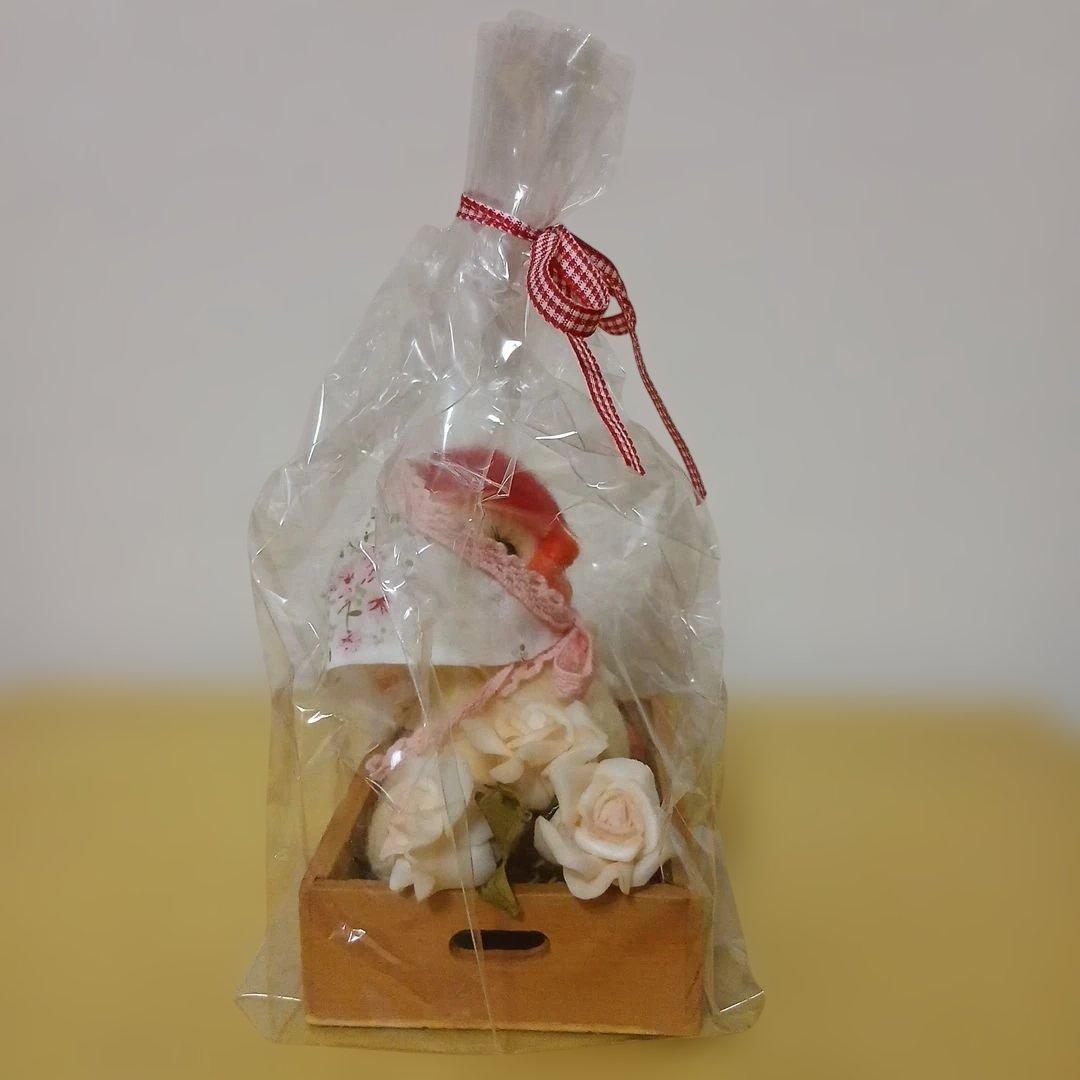 作家様　羊毛フェルト　アヒル　木箱付き　ぬいぐるみ