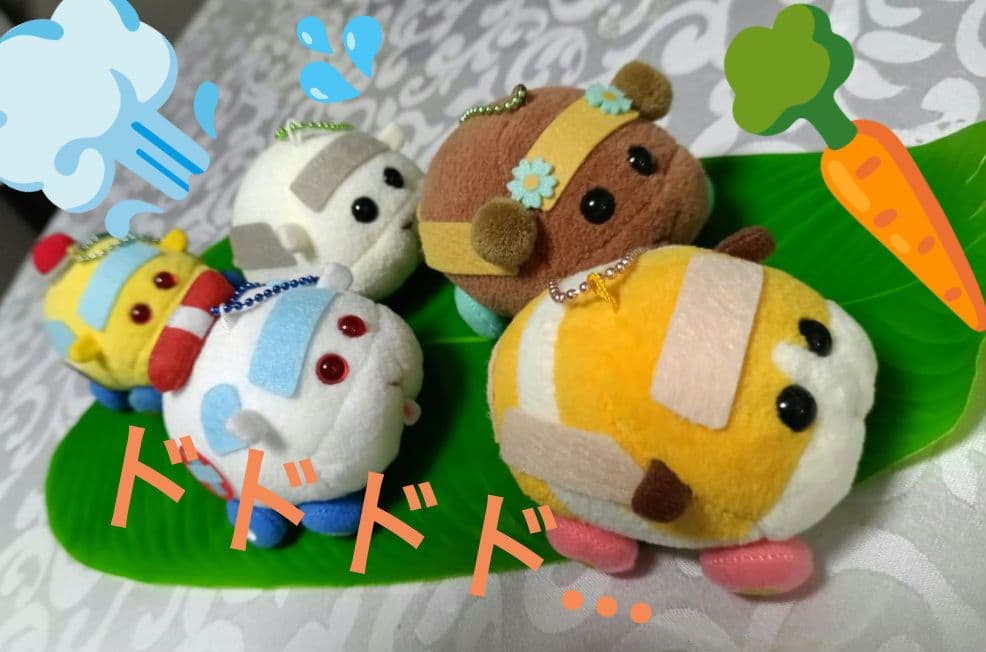 中古品 PUIPUIモルカー7点セット バックパック マスコット パスケース