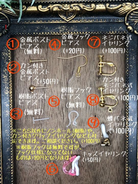 レイチェル専用♡ワンワンカーニバルシリーズ ピアス イヤリング