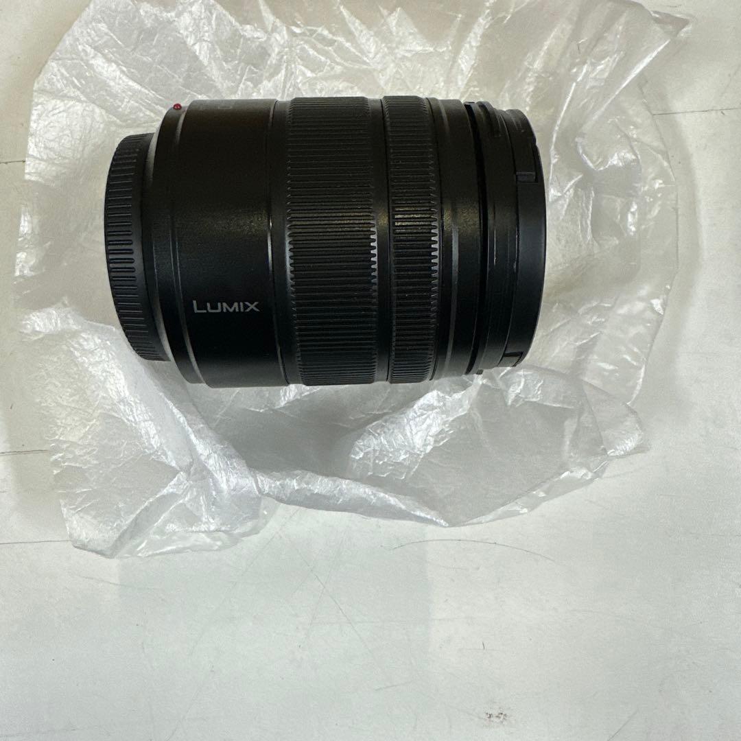 パナソニックLUMIXミラーレスカメラDC-G99H