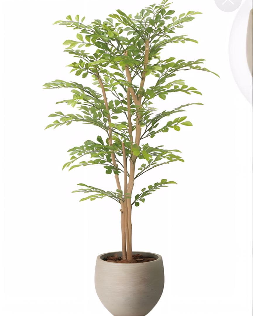 光触媒　人工観葉植物　フェイクグリーン　ナチュラルライトトネリコ1.1