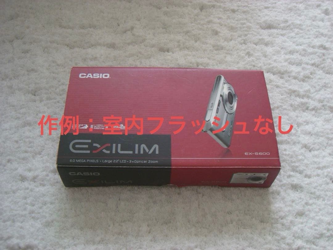 【動作確認済】CASIO カシオ EXILIM EX-S600 レトロコンデジ