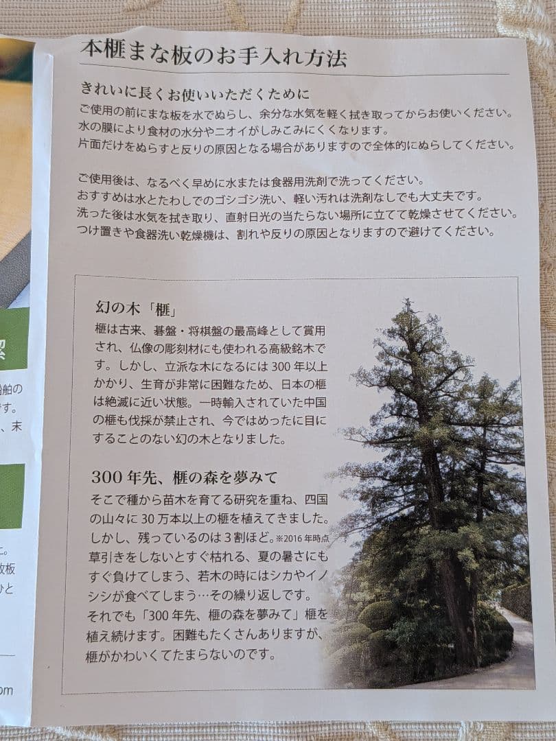 ★希少【未使用品】榧工房 かやの森 本榧まな板 大 日本製