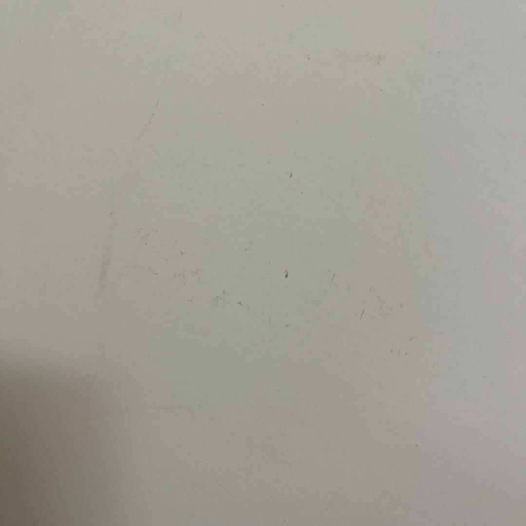 廃盤品・希少・イケア IKEA OLUNDA ピカソ　 レプリカ　アートフレーム