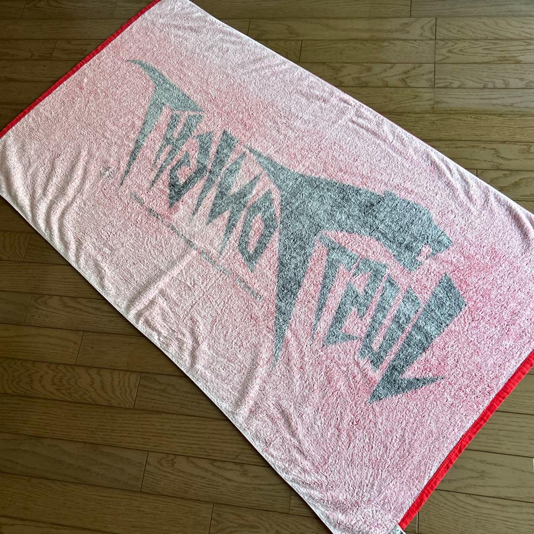 矢沢永吉93年、95年、ツアースペシャルビーチタオル2点セット出品☆