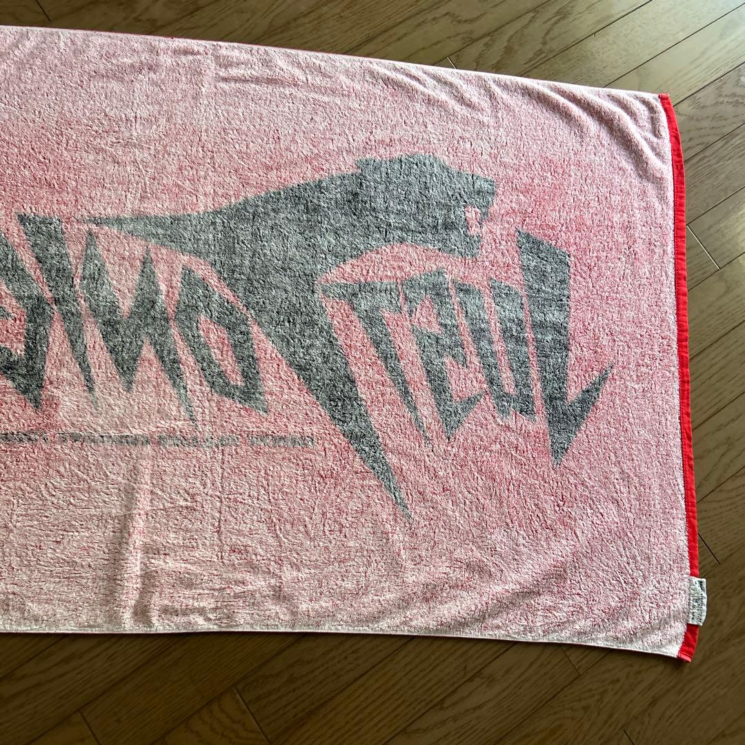 矢沢永吉93年、95年、ツアースペシャルビーチタオル2点セット出品☆