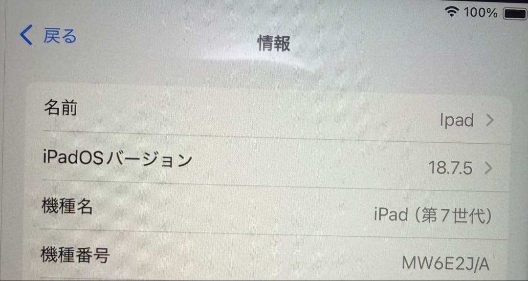 Apple iPad (第7世代) スペースグレー 128GB