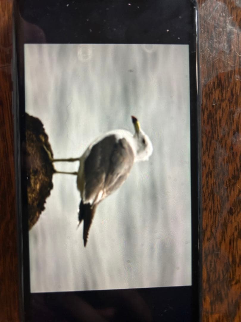 MC MTO 11CA 望遠　1000㎜