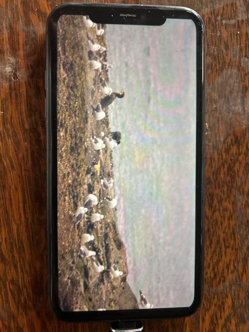 MC MTO 11CA 望遠　1000㎜