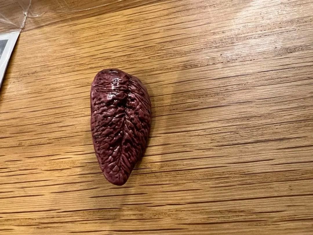 デフォリアル　ゴジラ（2023）　少年リック限定版　ゴジラ-1.0 箱、付属品付