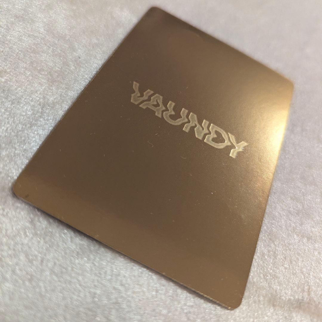 バウンディ Vaundy littlepunk トレカ サイン シークレット