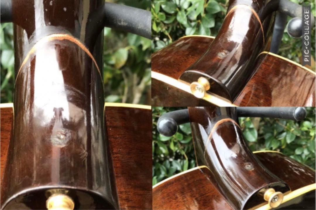 Bunny BJ-60 バーニー フェルナンデス