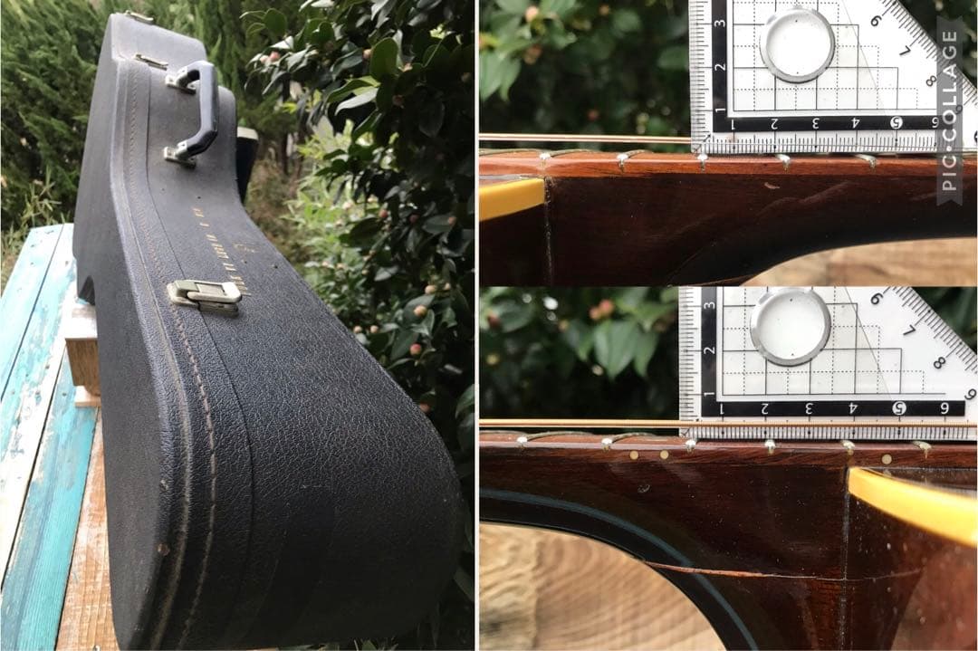 Bunny BJ-60 バーニー フェルナンデス