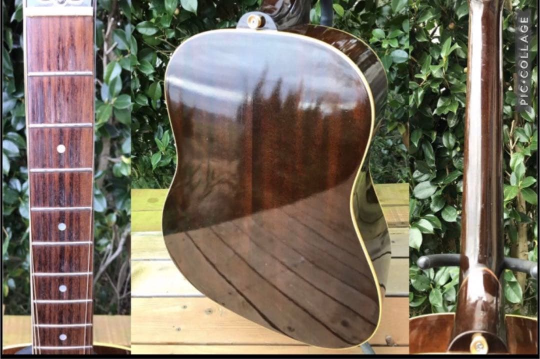 Bunny BJ-60 バーニー フェルナンデス