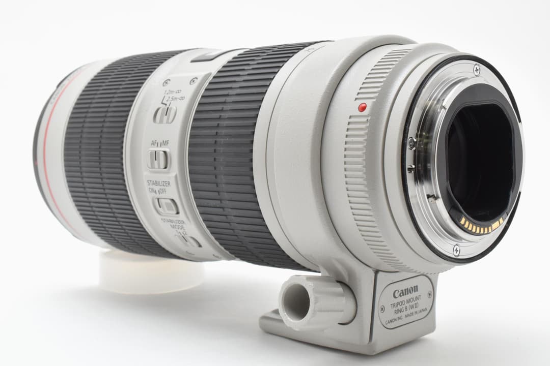 キヤノン EF70-200mm F2.8L IS III USM #C828