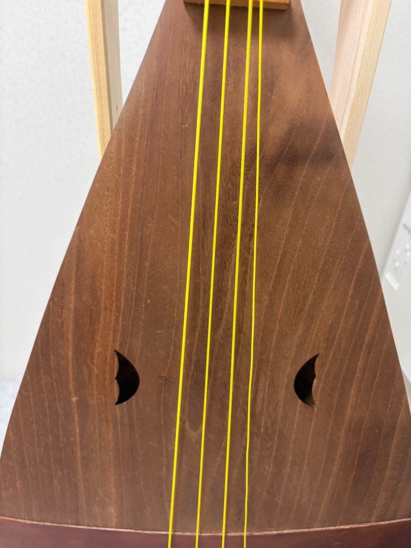 平家琵琶　琵琶ケース付き