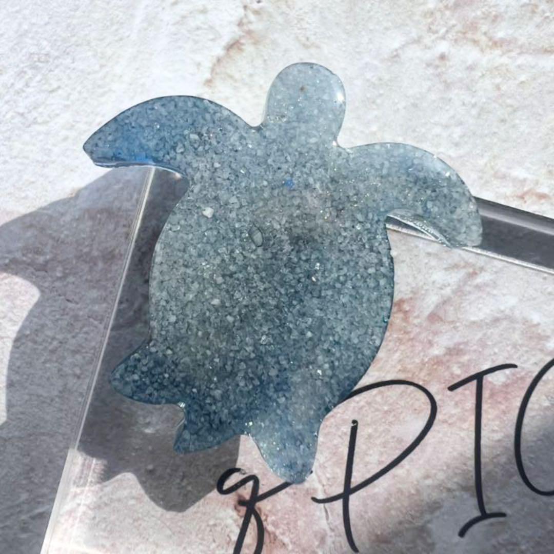 【No.172】ꫛꫀꪝ✧‧˚ ホヌ ~SeaWorld~ ウミガメ 海の中の世界