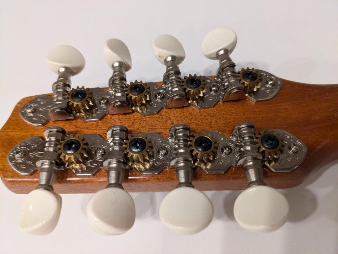 初心者用フラットマンドリン（1990年代製作）専用ハードケース付