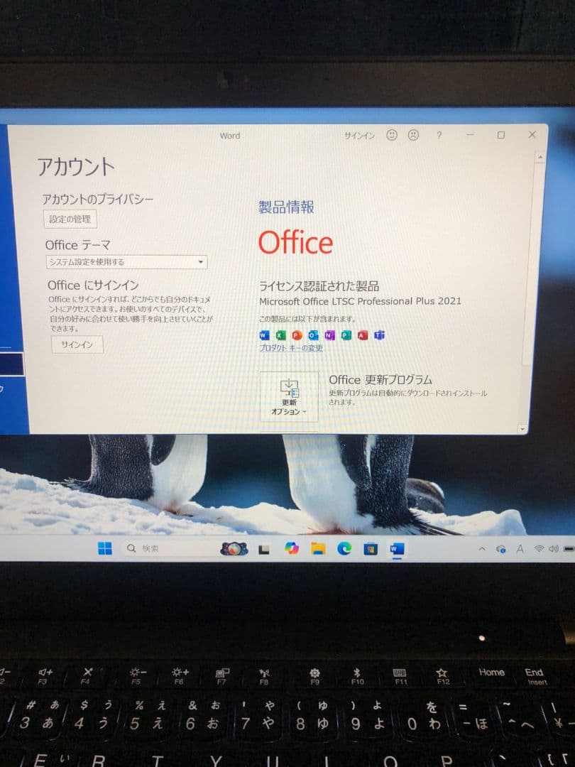 Lenovo ThinkPad Core i5 - 10210U ノートPC