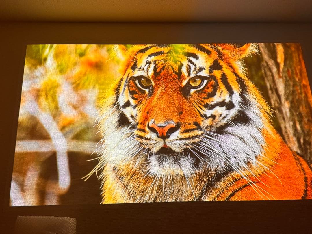 Anker Nebula Nova 天井プロジェクター 本体 ポータブルモバイル