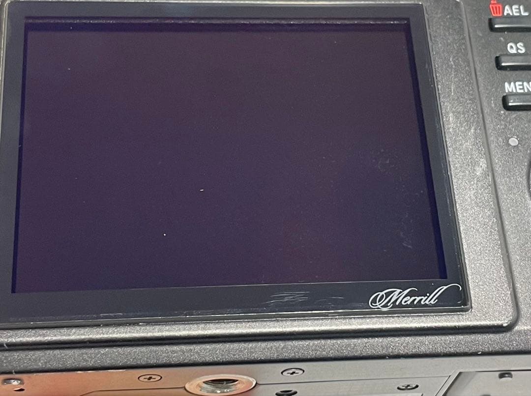 美品✨シグマ DP3 Merrill❤️静けさまで写し取る描写力！