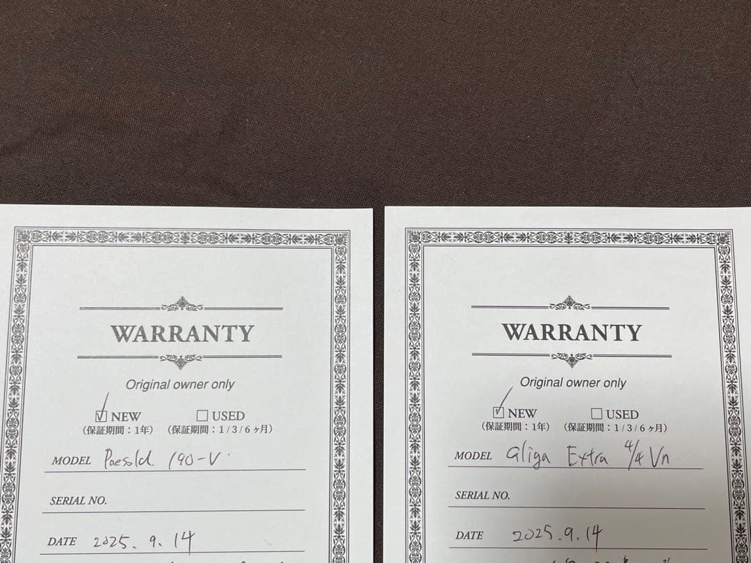 15万円引き【未使用】Gliga Extra／カーボンマック／肩当／保証書付き