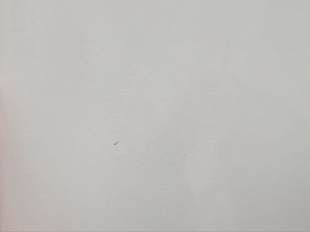 ギヴン　オリジナル　ラベル缶　コンプリートセット