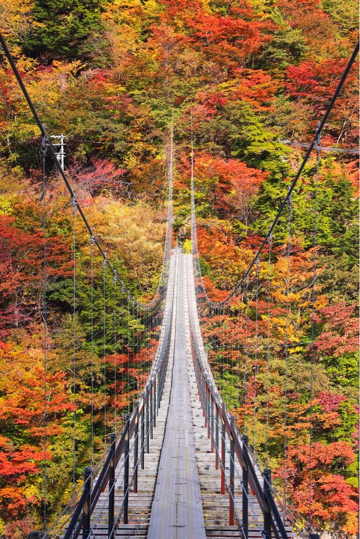 ★特価★ Canon EF 24-105mm f/4 L IS USM