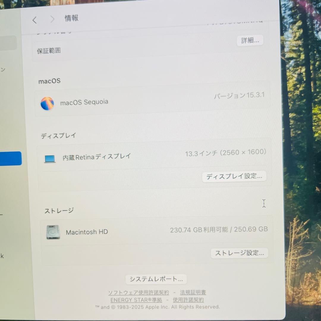 MacBook Air A2179 2020年モデル シルバー 動作OK