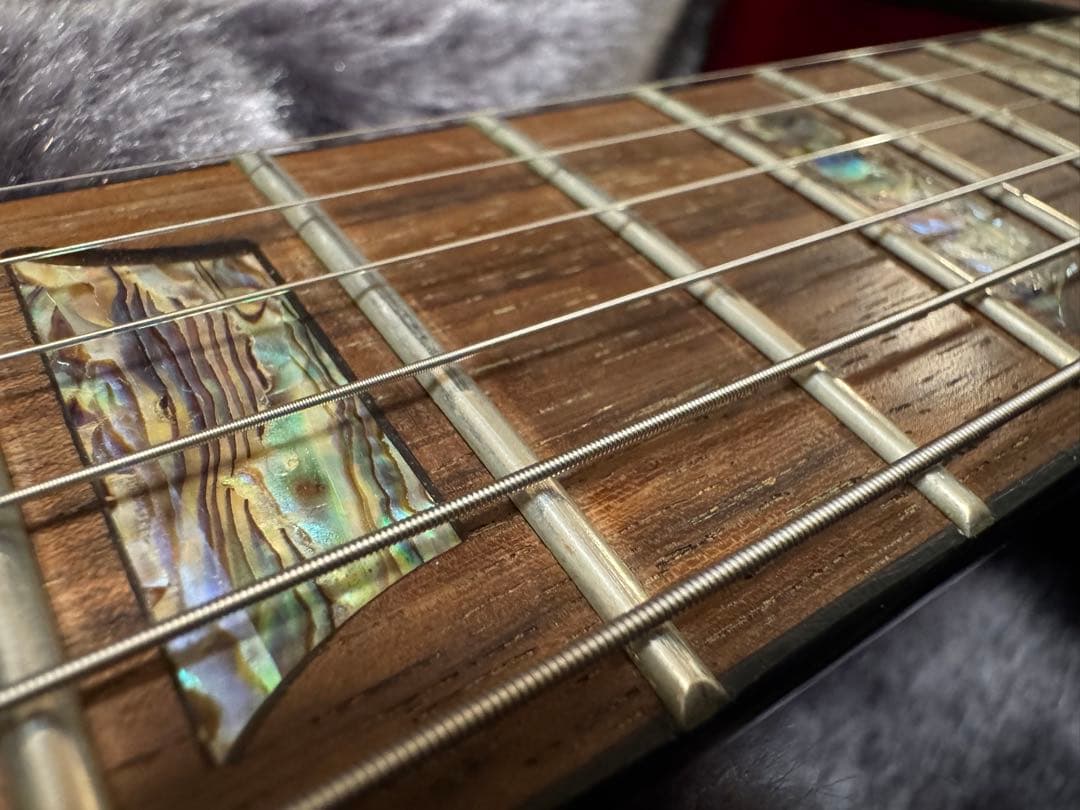 Epiphone Tak Matsumoto DoubleCuttaway 松本