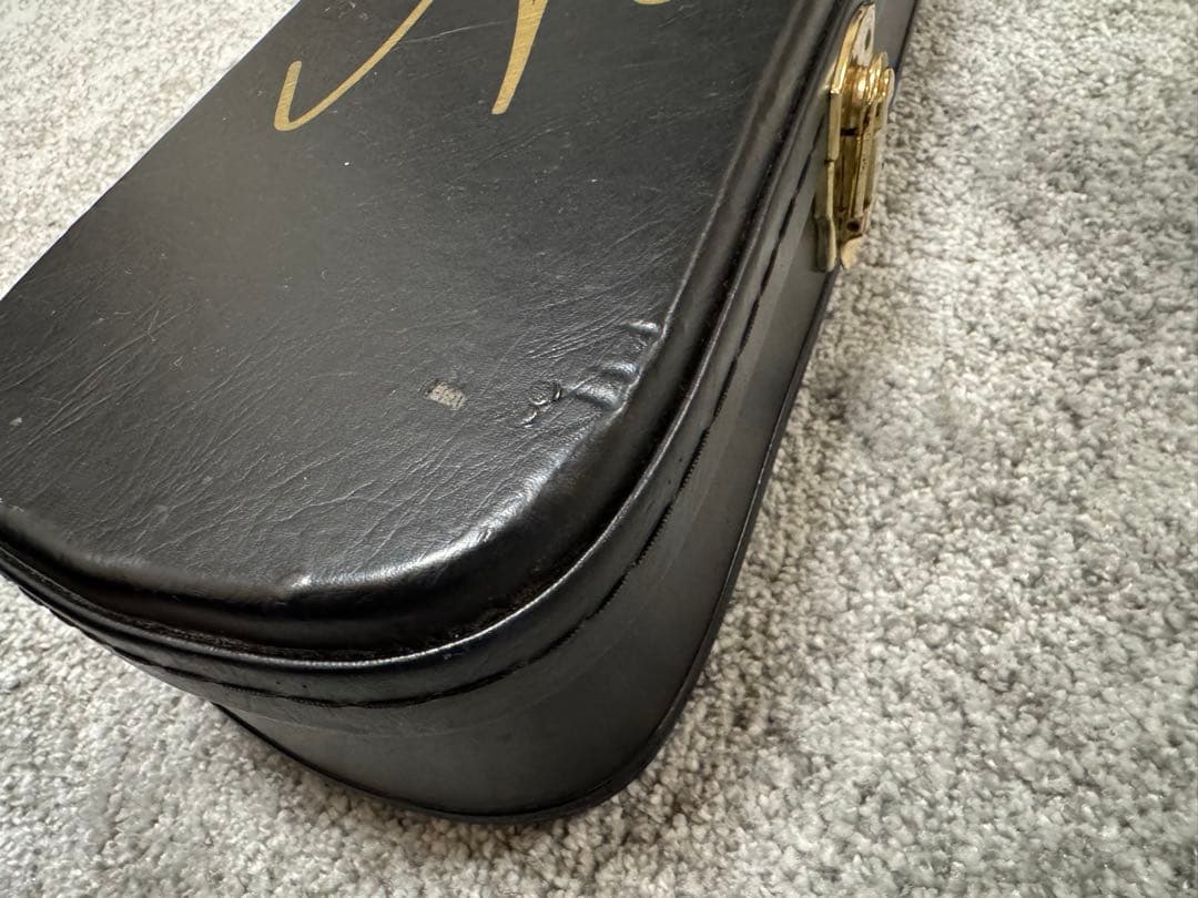 Epiphone Tak Matsumoto DoubleCuttaway 松本