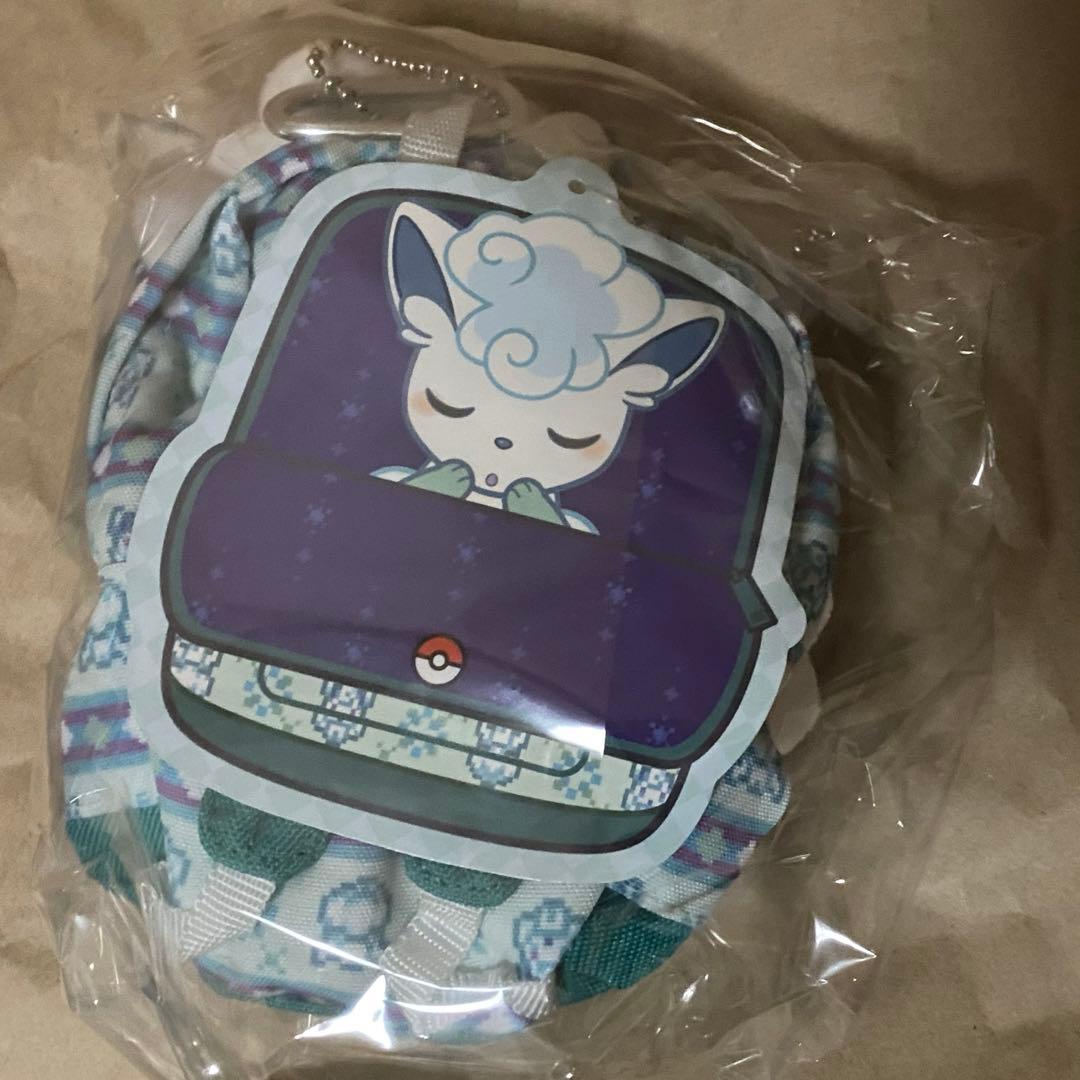 ポケモンセンター　ピカピカボックス　ピカピカバッグ　ぬいぐるみ　マスコット