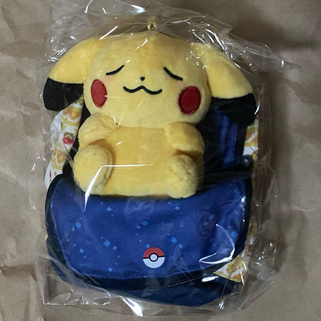 ポケモンセンター　ピカピカボックス　ピカピカバッグ　ぬいぐるみ　マスコット