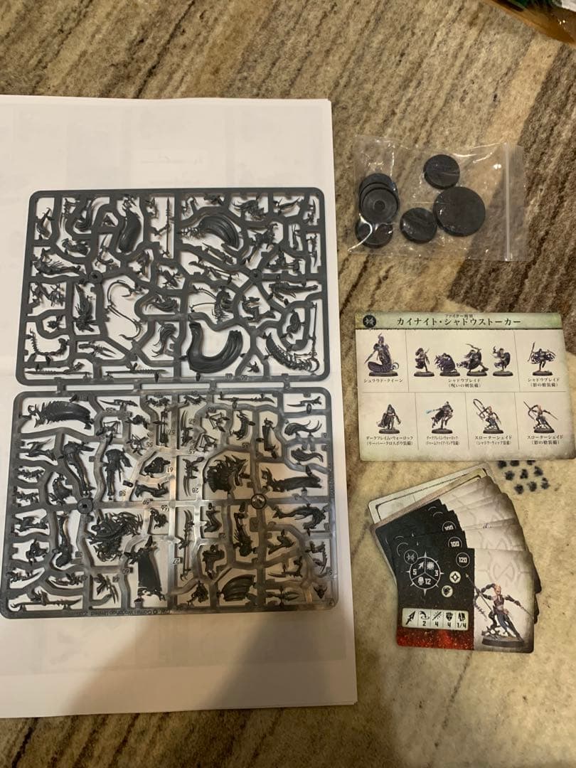 ウォーハンマー　ドーター・オヴ・カイン　カイナイト　シャドーストーカー