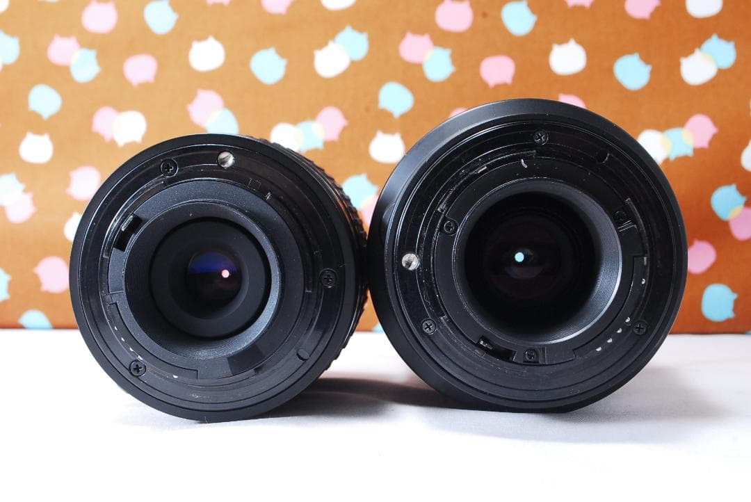 ✨初心者オススメ✨ショット数6395回✨Nikon D80 ダブルレンズセット