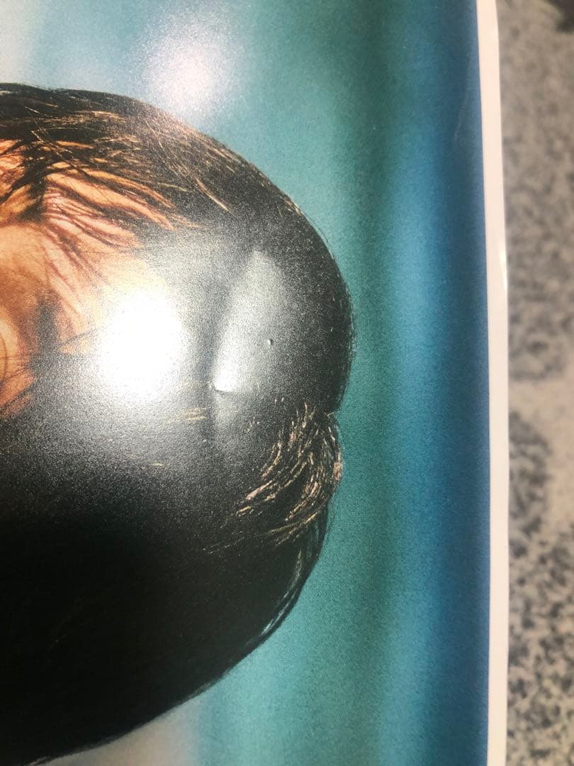 目黒蓮　午後の紅茶　ポスター　クリアファイル　まとめ売り