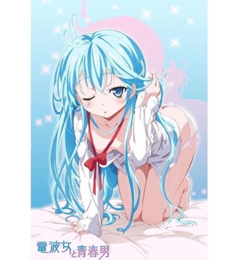 電波女と青春男 抱き枕カバー、布団カバー、ビッグタオル、スポーツタオル藤和エリオ