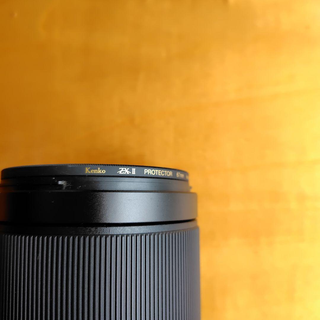 SONY　ソニー　標準ズームレンズE70-350mm　ケンコー　プロテクター付