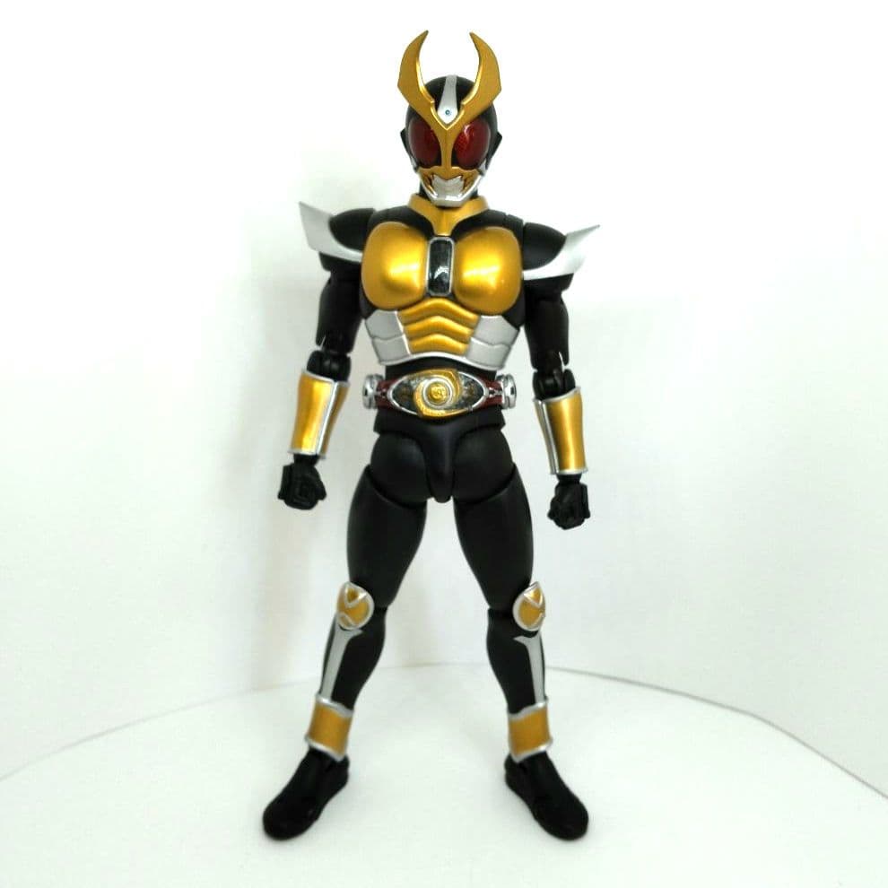 S.H.Figuarts真骨彫 仮面ライダーアギト