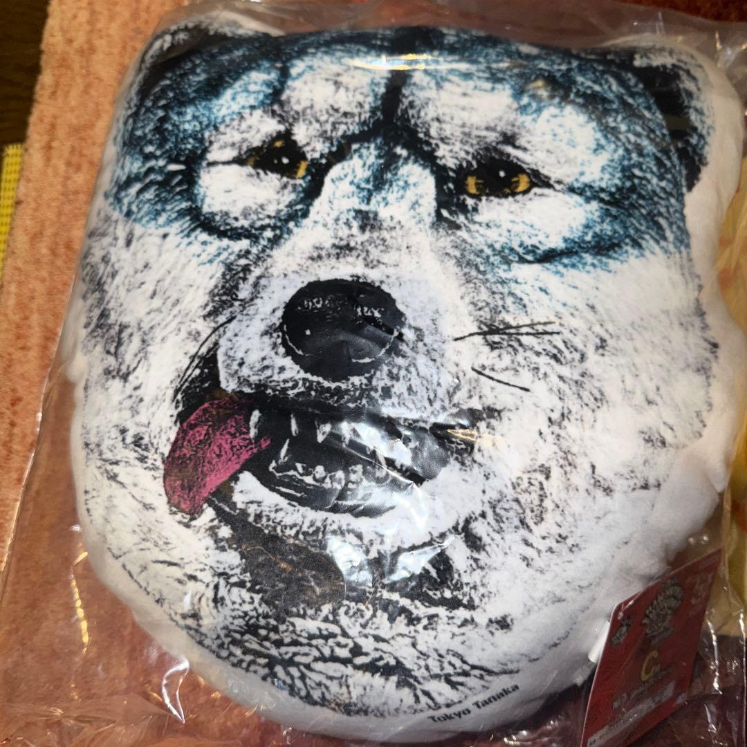 MAN WITH A MISSION C賞 フェイスクッション　オマケ付き