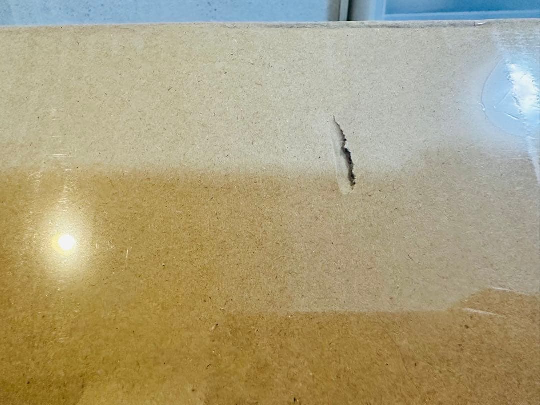 BALMUDA The Toaster バルミューダ　トースター新品未使用