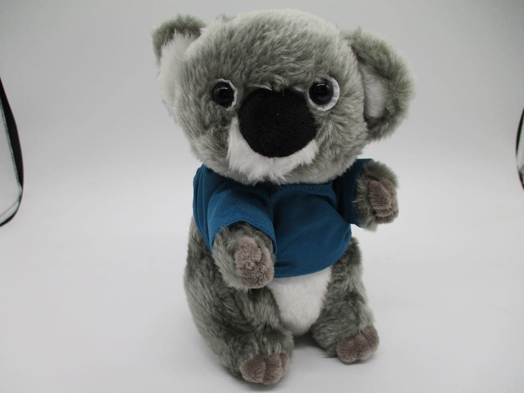 Canon IXY 200 キャノン イクシー シルバー オールド 美品