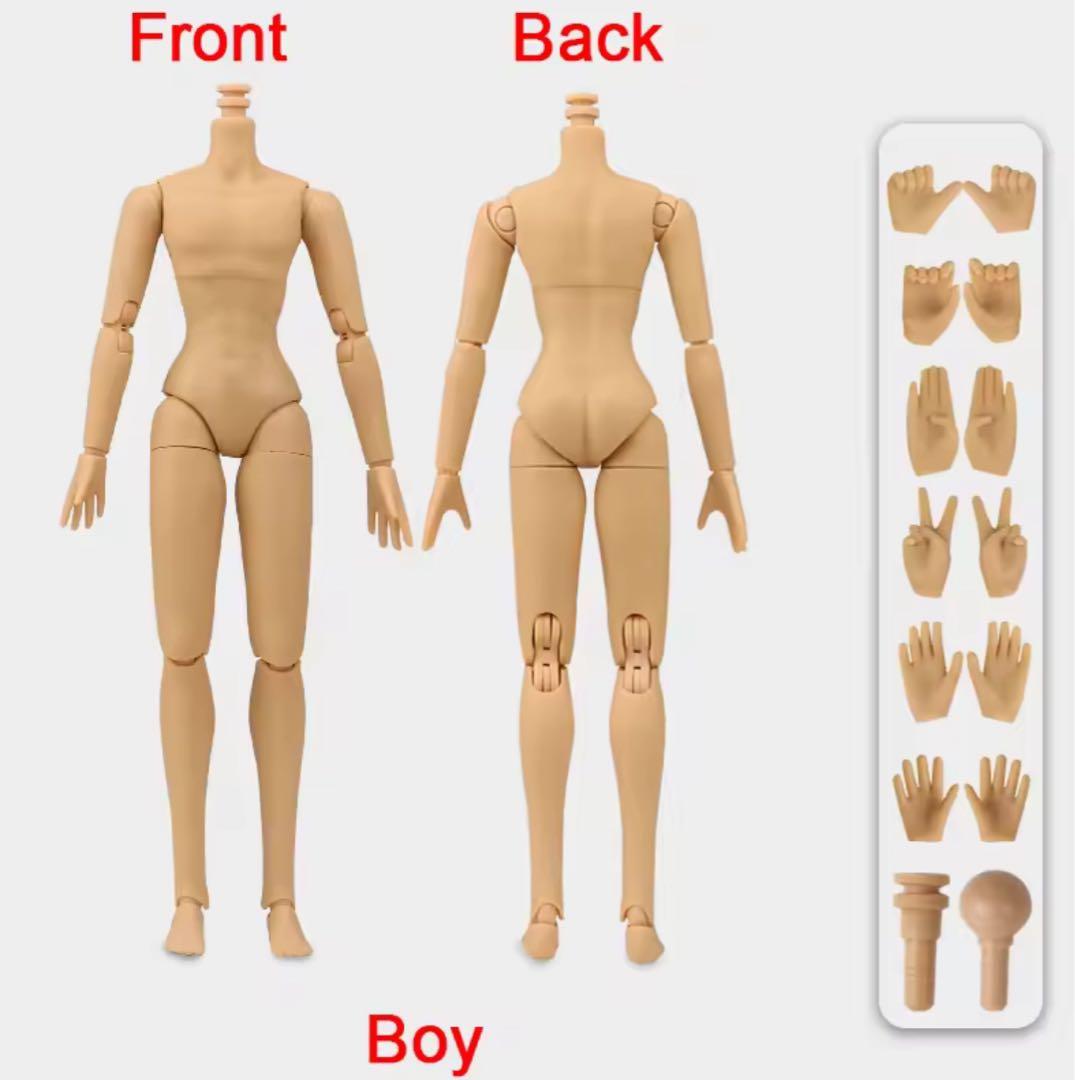 アイシードール本体　カスタムアイシードール ボアウィッグ　OF付アキザイル