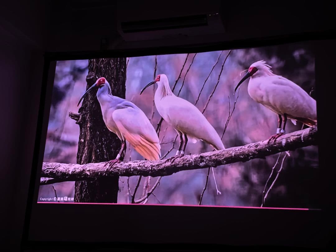 JMGO N3 ULTRA プロジェクター