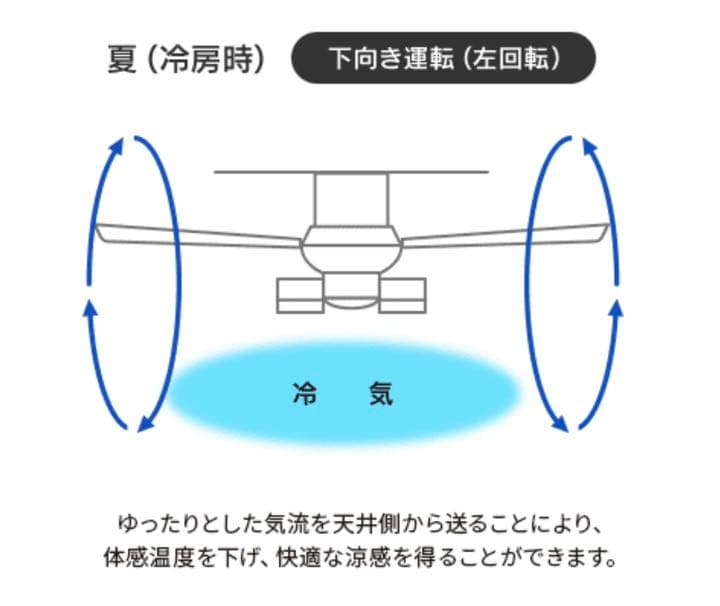 ダイコー製シーリングファンライト