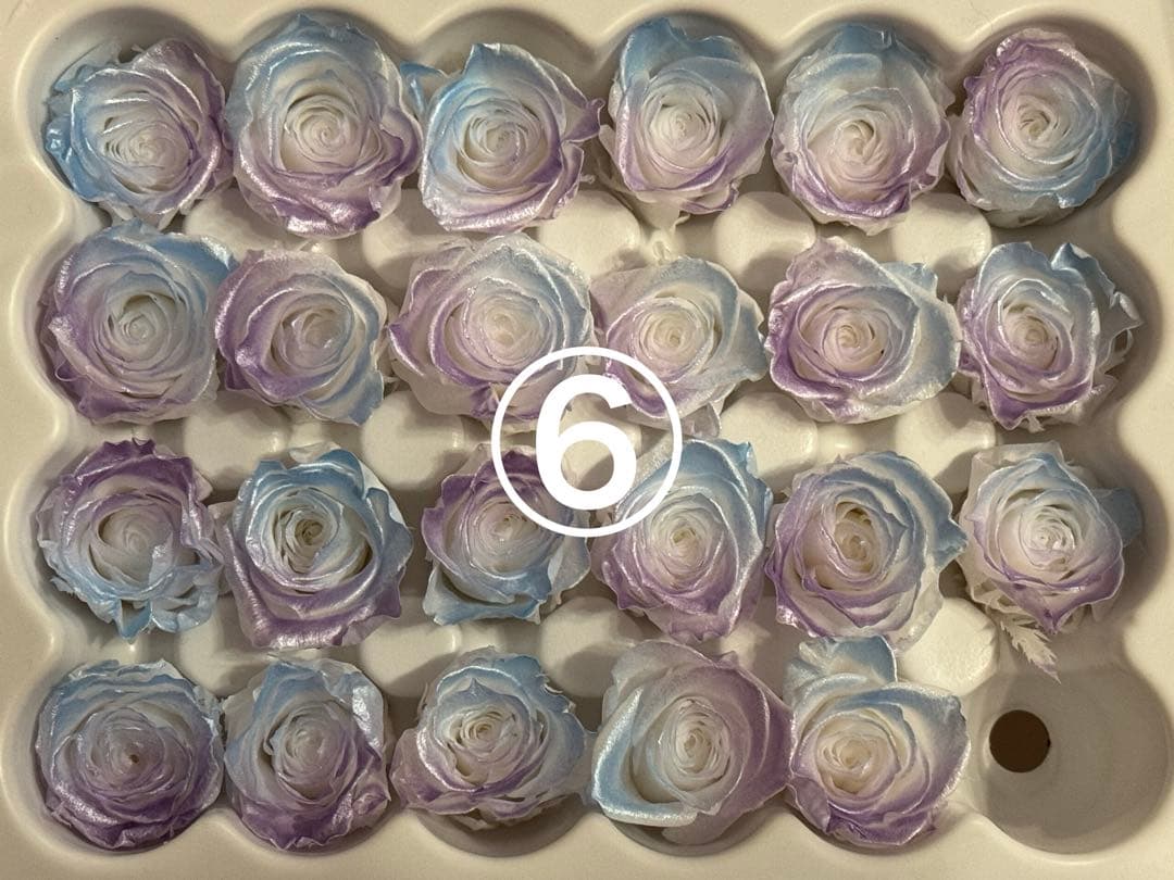 薔薇プリザーブドフラワー☆径2.0〜2.5cm★5個で¥300★