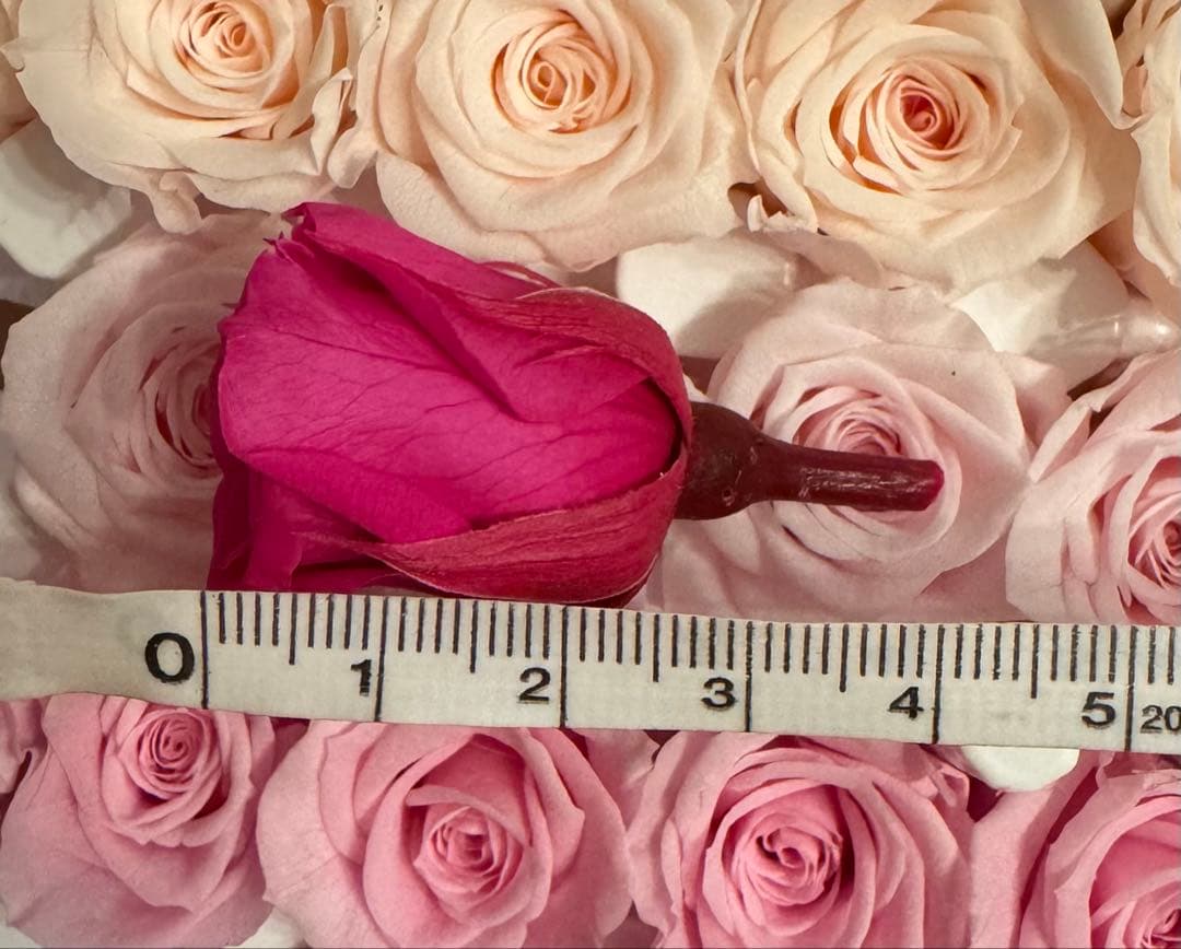 薔薇プリザーブドフラワー☆径2.0〜2.5cm★5個で¥300★