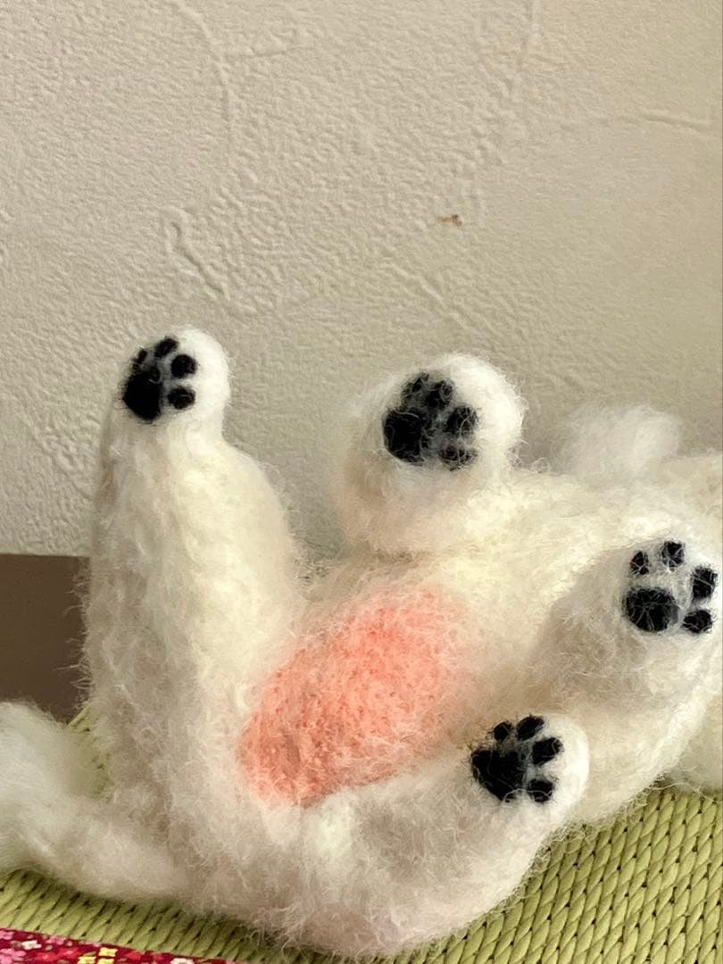 羊毛フェルト マルチーズ×チワワMIX犬