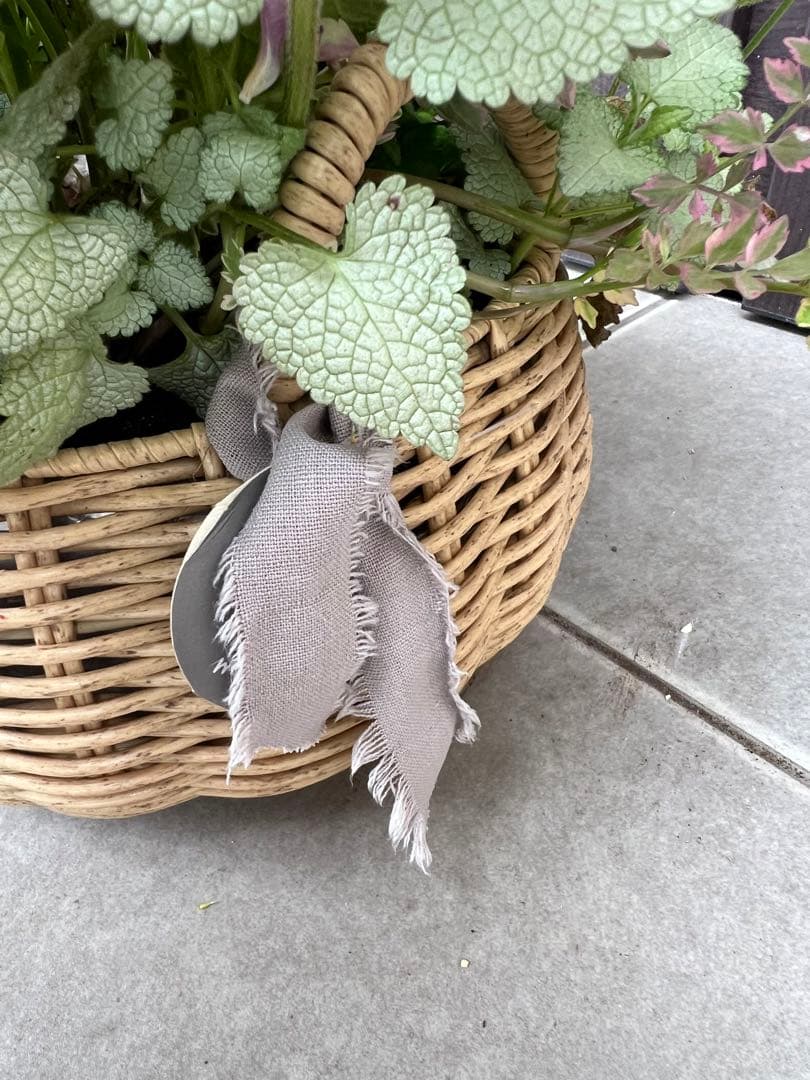 寄せ植え　花■大人可愛いバスケット