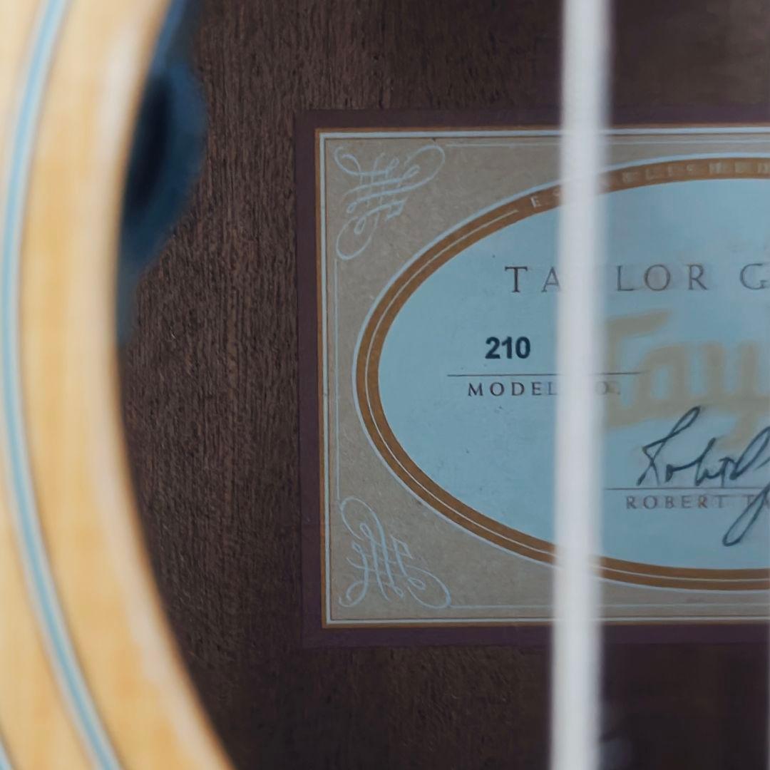 taylor 210 fishman アコギ　ギター
